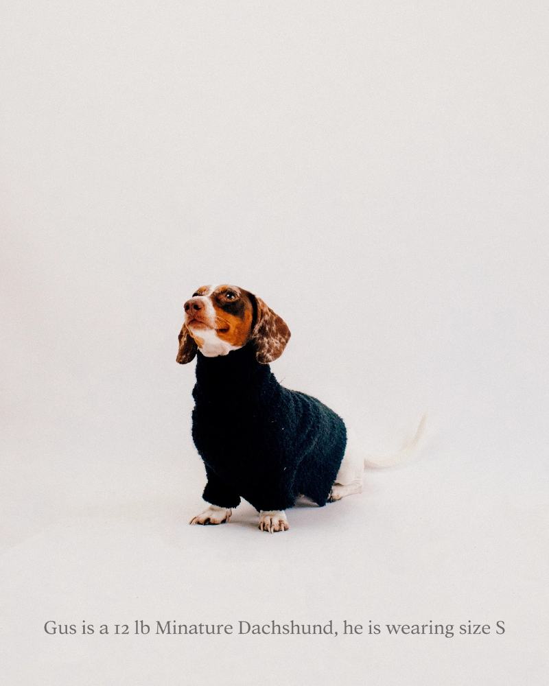 Boucle Dog Sweater in Black Wear DOGPARK