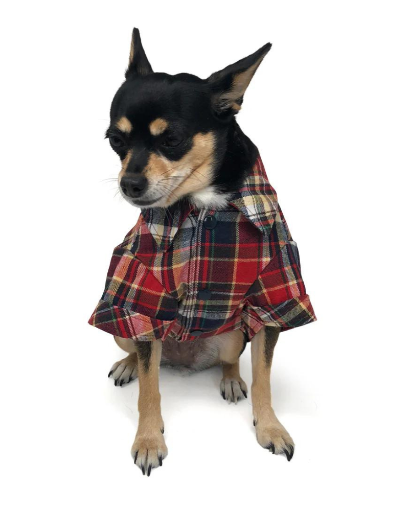 Flannel Button Down Shirt in Red Wear DOGO   