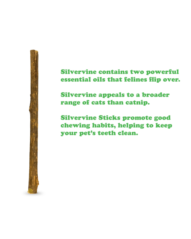 Silvervine Cat Sticks (6-Pack) PLAY MEOWIJUANA