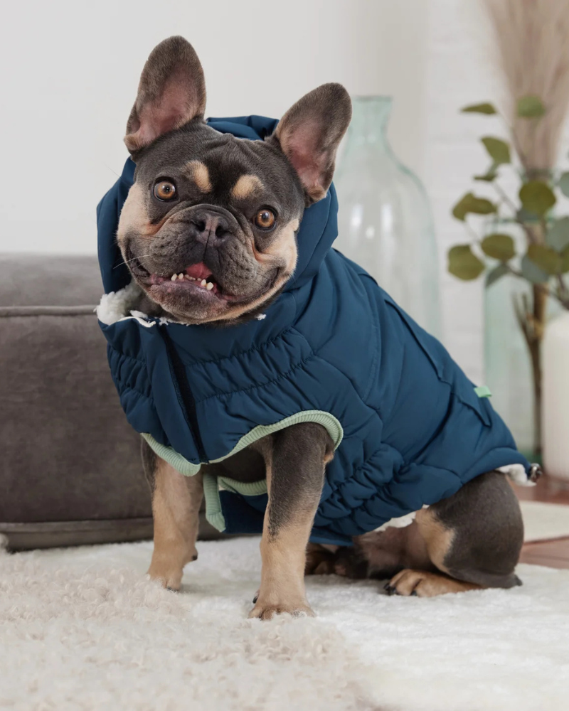 Arctic Dog Parka in Wintergreen Wear GF PET   