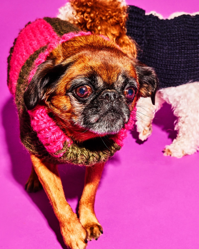 Hand Knit Checkered Wool Dog Sweater (Pink & Green) Wear WARE OF THE DOG