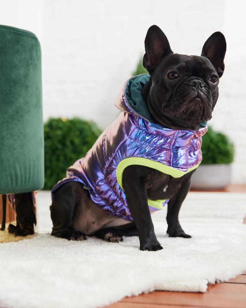 Recycled Arctic Dog Parka in Iridescent Wear GF PET