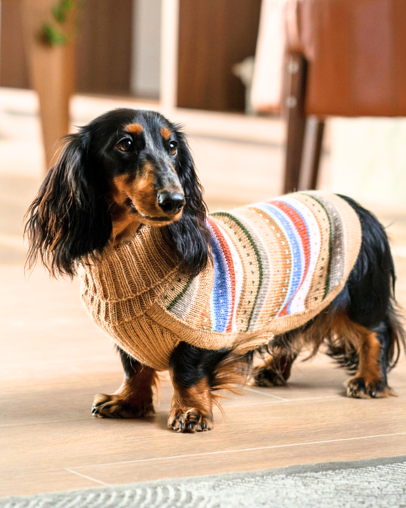 Earthy Stripes Alpaca Dog Sweater Wear ALQO WASI   