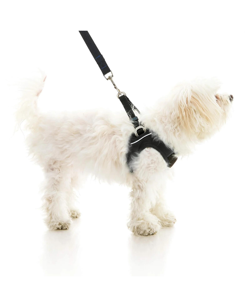 Gooby dog harness best sale