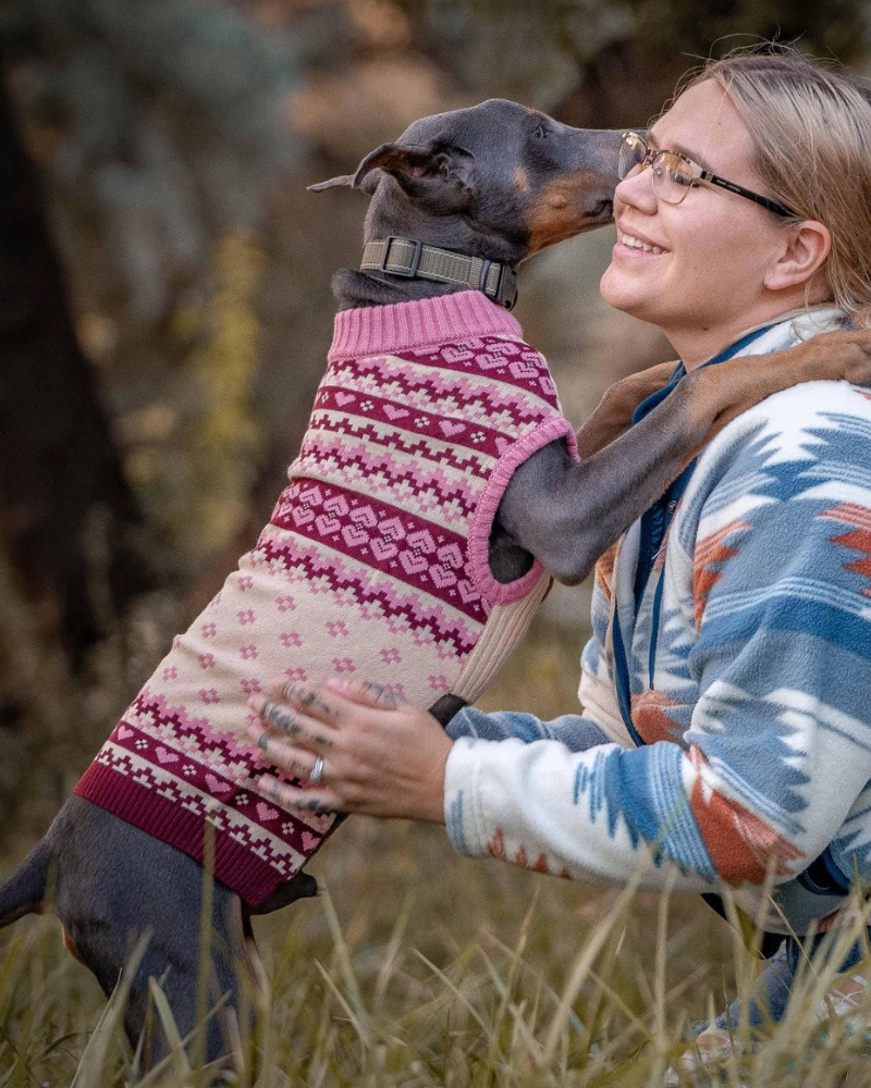 Hearts Fair Isle Dog Turtleneck Sweater Wear BLUEBERRY PET