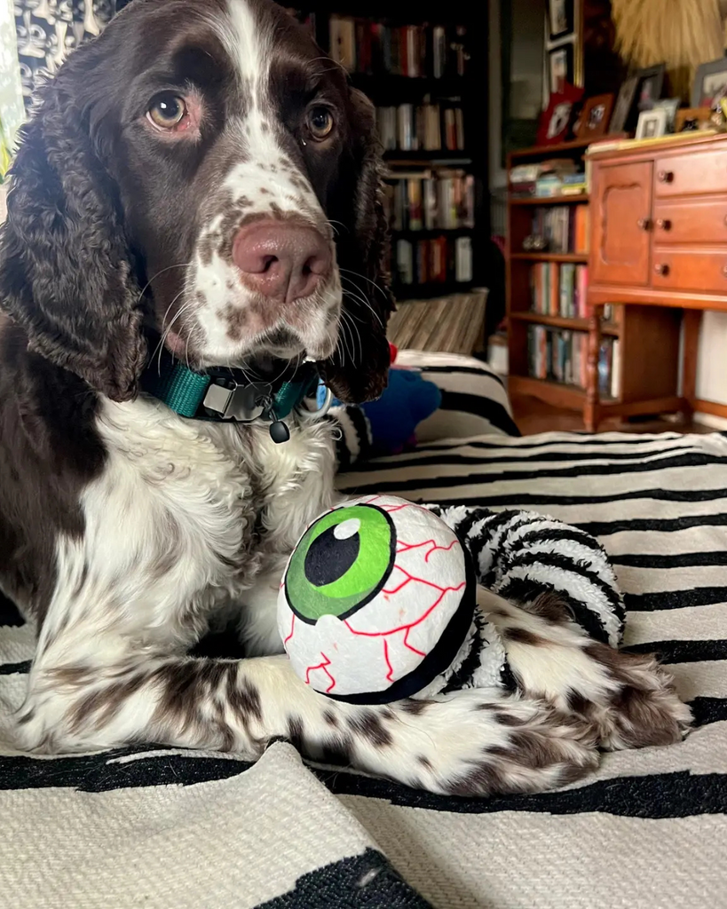 Eyesaur Crinkly Squeaky Dog Toy PLAY DORIS BIZAARO