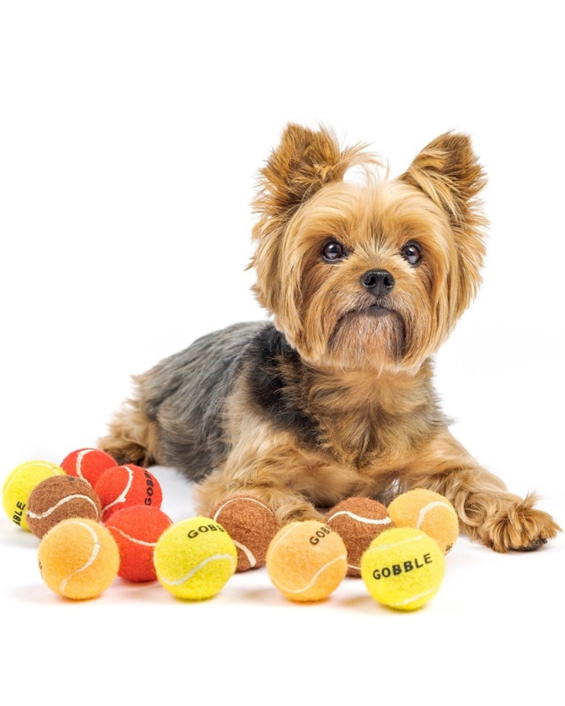 Gobble Gobble Mini Tennis Balls for Small Dogs Play MIDLEE   