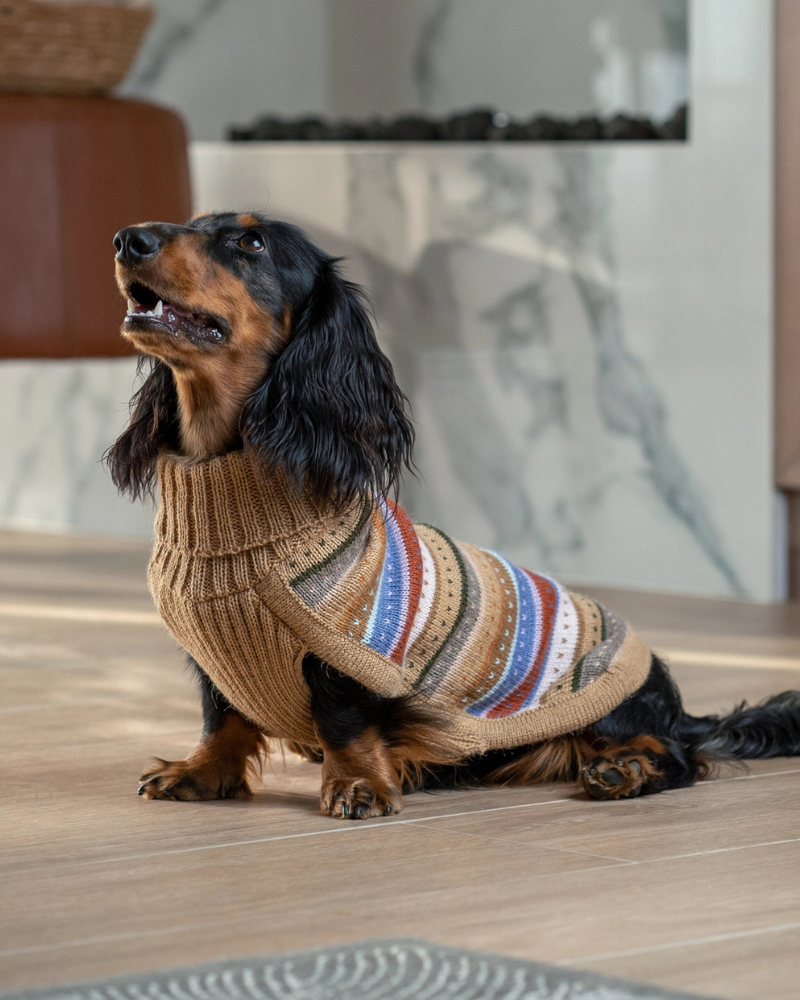 Earthy Stripes Alpaca Dog Sweater Wear ALQO WASI   