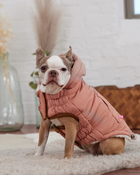 Arctic Dog Parka in Clay