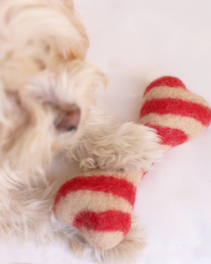 Candy Cane Wool Dog Toy Play MODERN BEAST