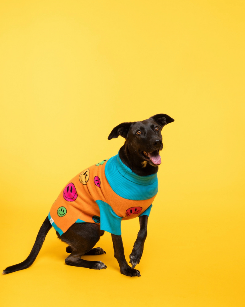 How Are You Feeling? Dog Sweater Wear TOBY & LINUS