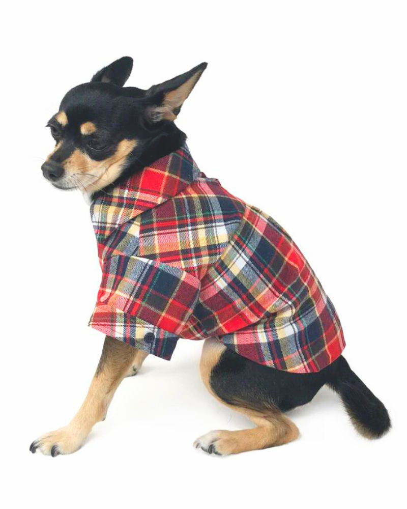 Flannel Button Down Shirt in Red Wear DOGO   