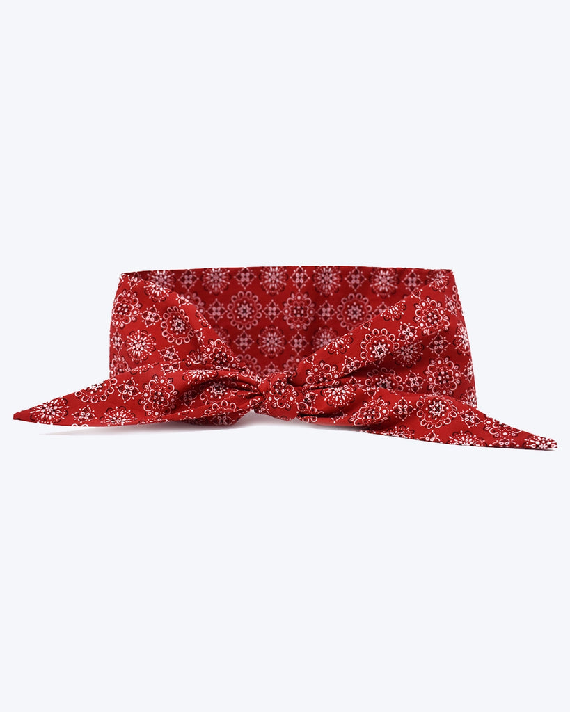 Classic Red Necktie for Dogs (Made in the USA) Wear MODERN BEAST   