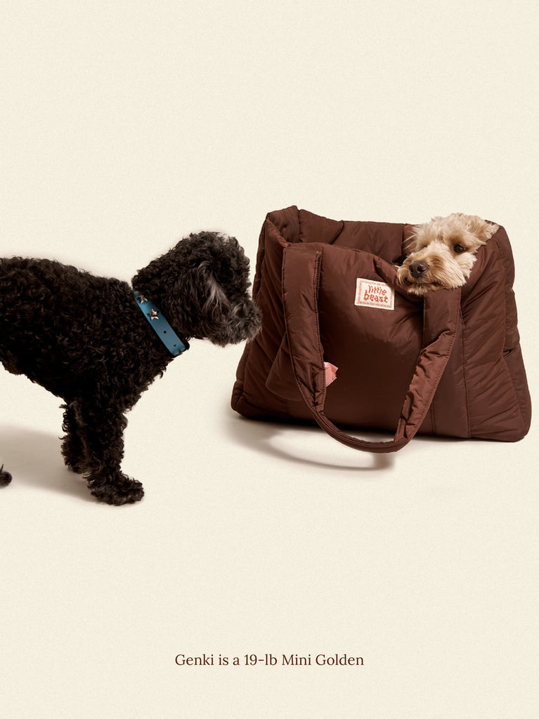 The Little Beast Dog Carrier in Hazel Carry LITTLE BEAST   