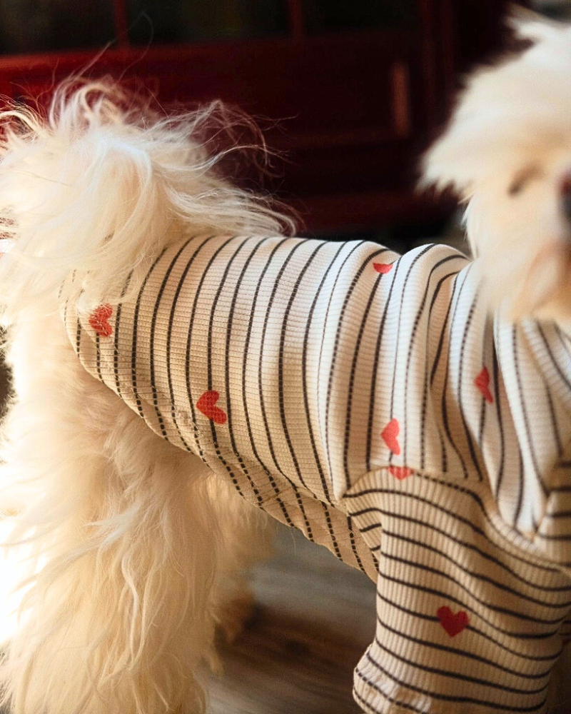 Aveline Striped Heart Dog Pullover Wear LIL.CO   