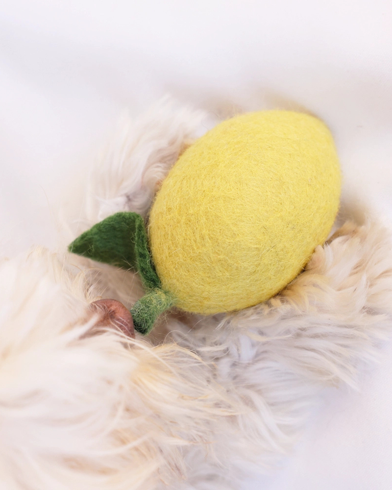 Wool Lemon Dog Toy Play MODERN BEAST