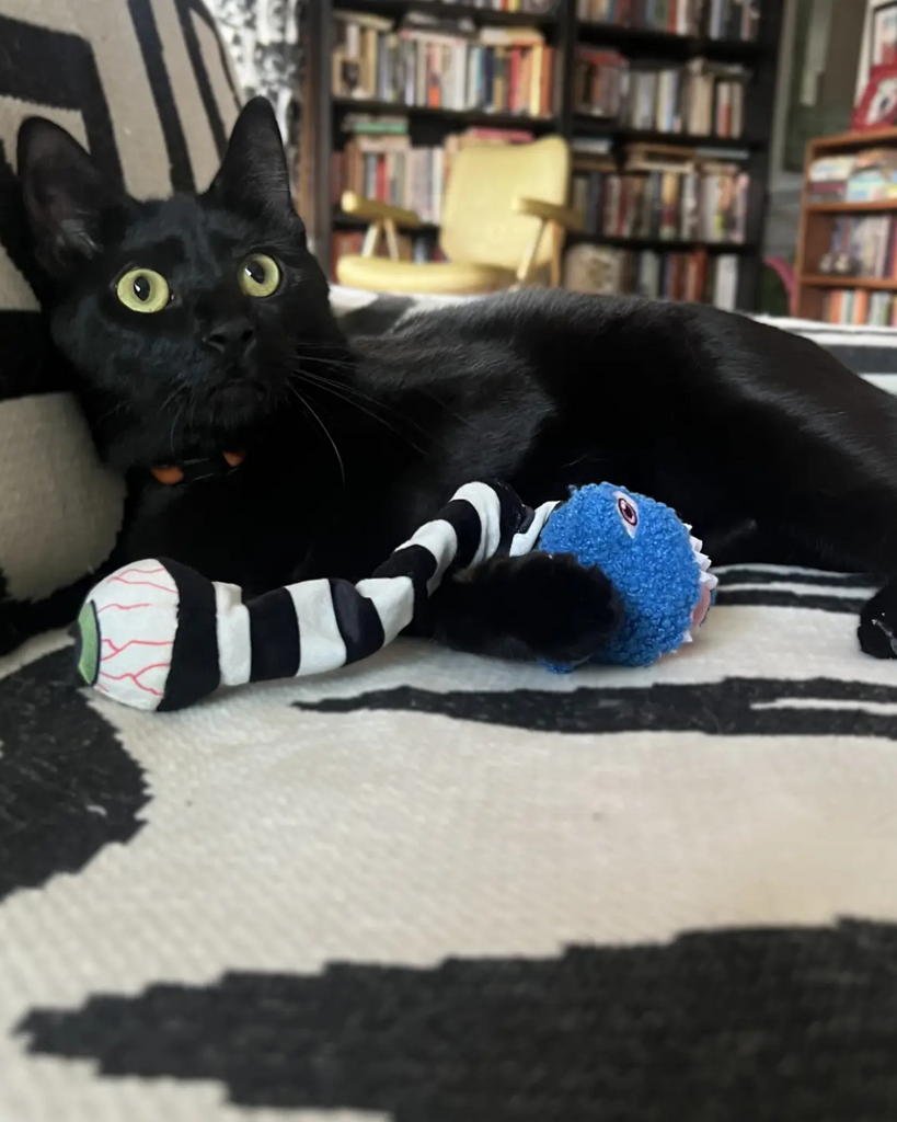 Eyesaur Jr. Crinkly Catnip Toy PLAY DORIS BIZAARO