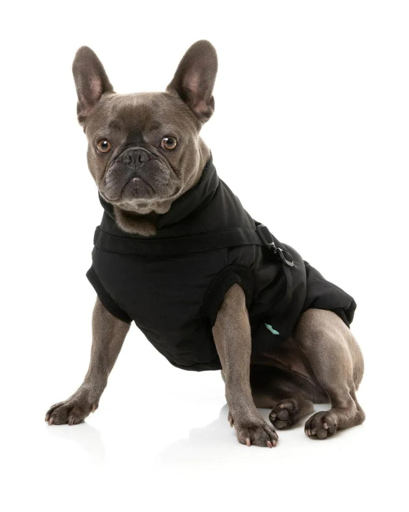 Flash Harness Jacket in Black Wear FUZZYARD   