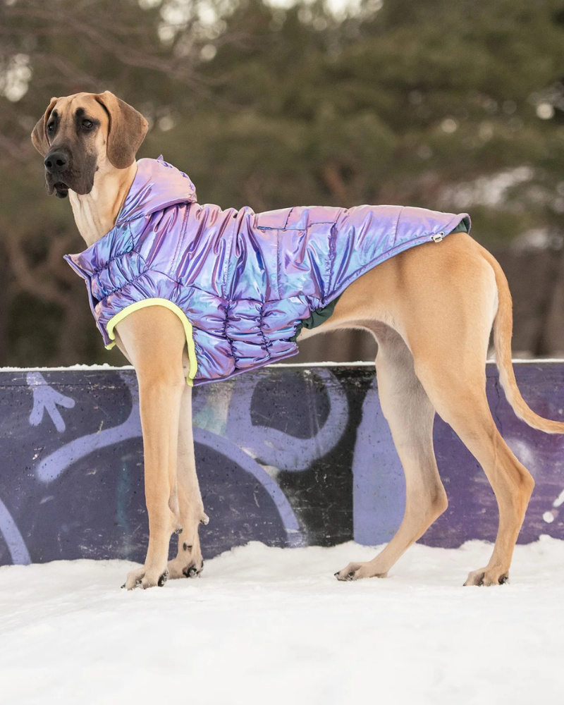 Recycled Arctic Dog Parka in Iridescent Wear GF PET