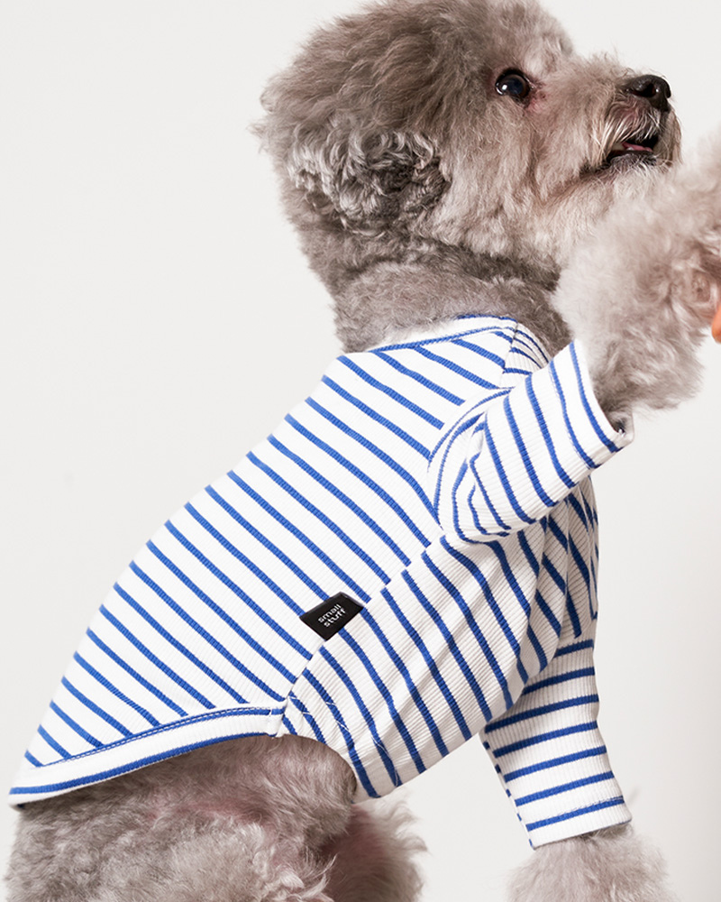 Striped Dog T-Shirt in Blue Wear SMALL STUFF