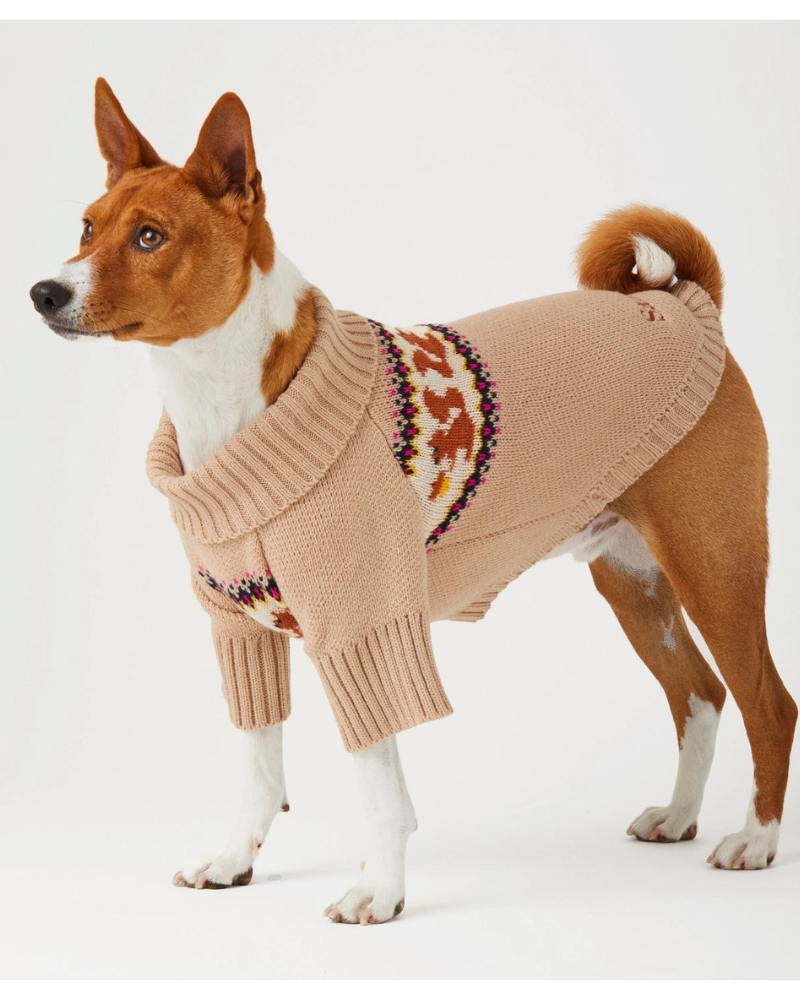 Squirrel Cable Knit Dog Sweater Wear THE FOGGY DOG   