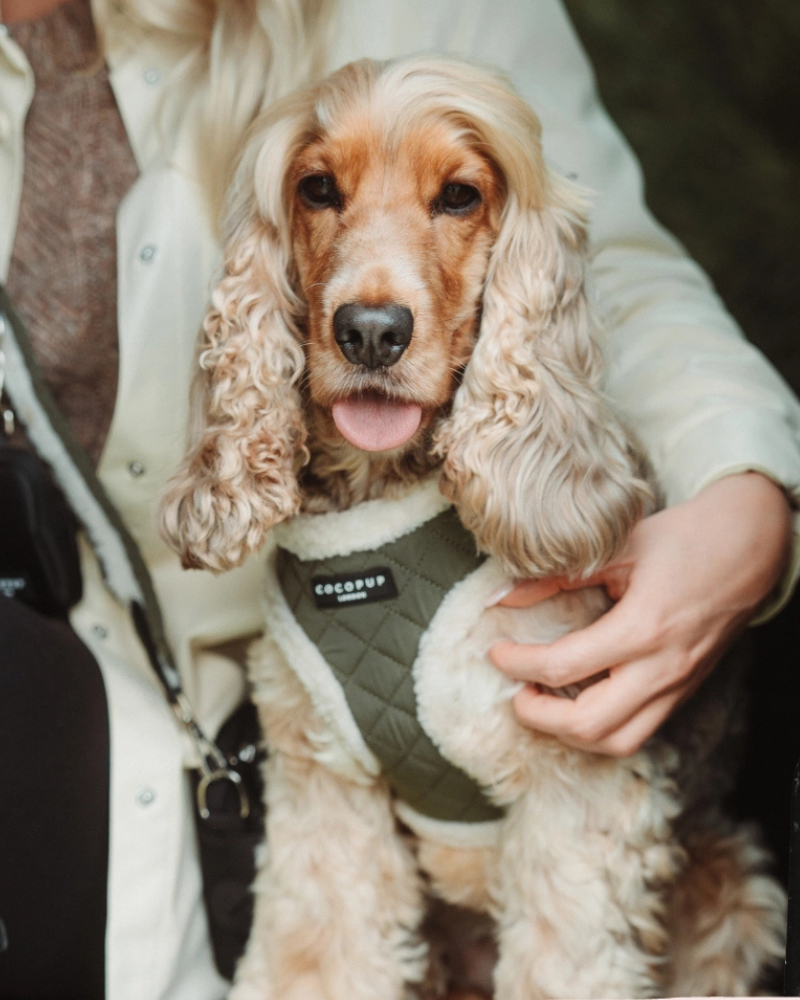 Quilted Adjustable Dog Harness in Khaki WALK COCOPUP LONDON