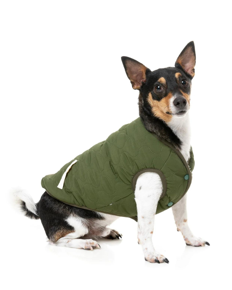 Reversible Nara Jacket for Dogs Wear FUZZYARD   