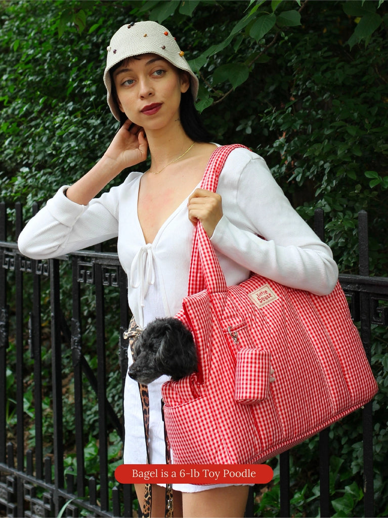 The Little Beast Dog Carrier in Strawberry Carry LITTLE BEAST   