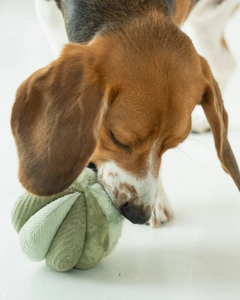 Toto Silent Interactive Snuffle Ball PLAY LAMBWOLF COLLECTIVE