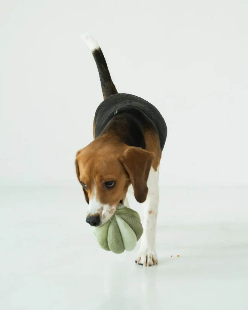 Toto Silent Interactive Snuffle Ball PLAY LAMBWOLF COLLECTIVE