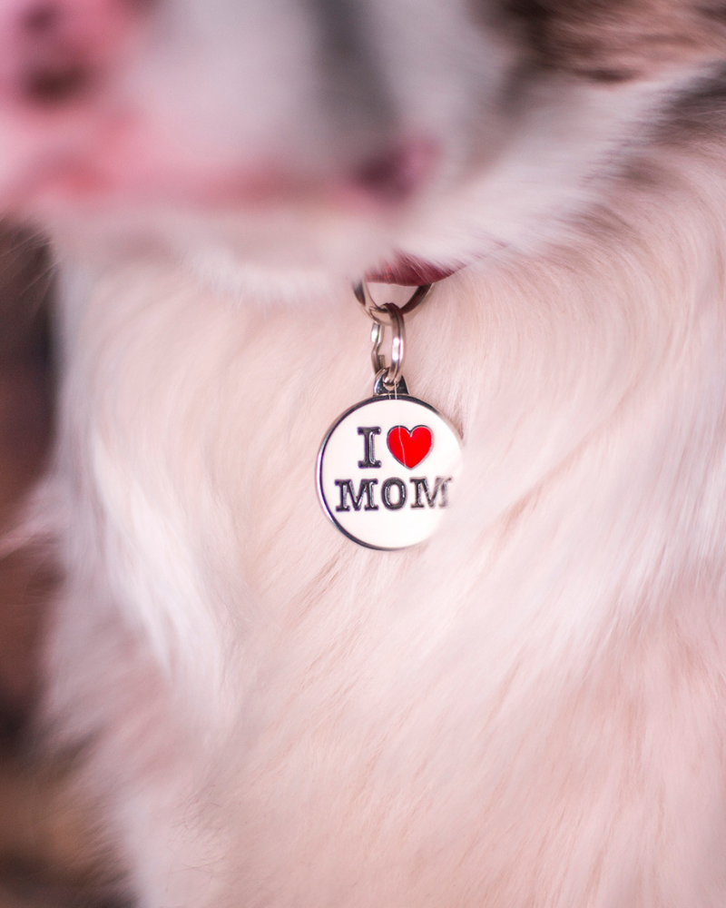 I Love Mom Custom Circle Pet ID Tag Wear MY FAMILY