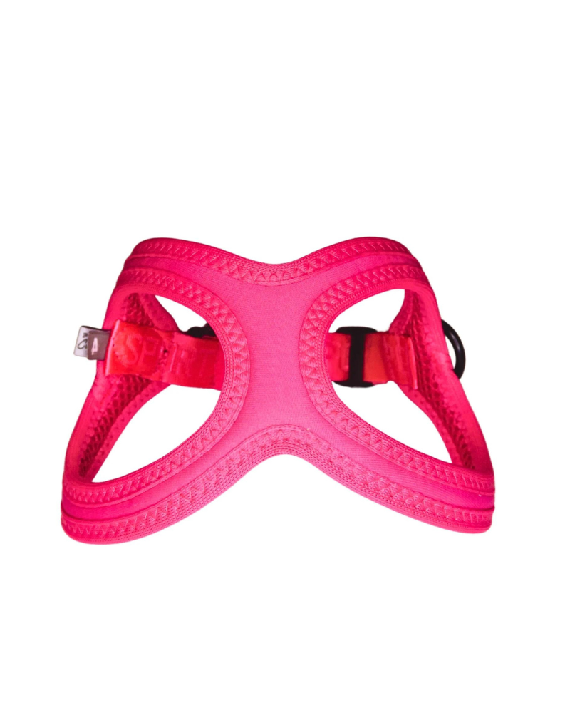 Buddy Belt Sport Harness for Dogs in Neon Pink walk BUDDY BELTS   