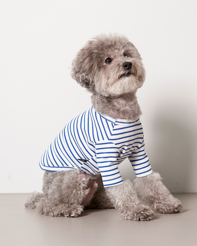 Striped Dog T-Shirt in Blue Wear SMALL STUFF