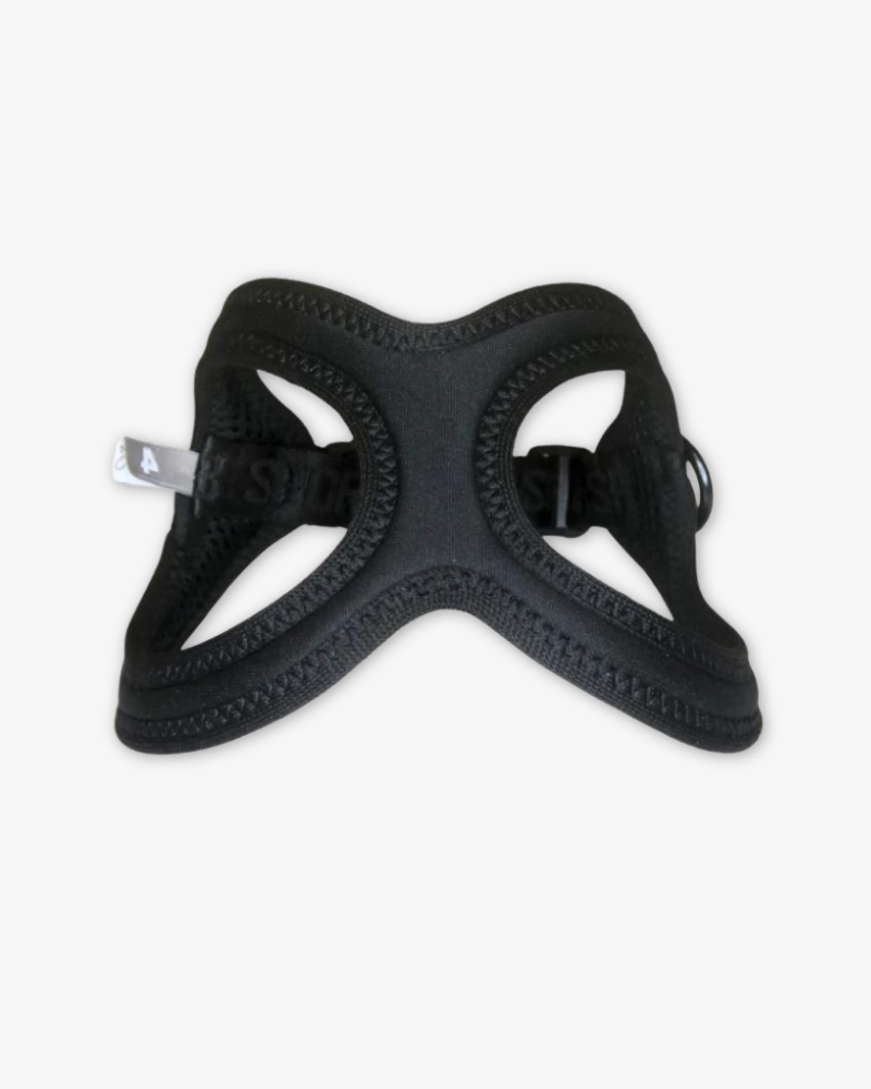 Buddy Belt Sport Harness for Dogs in Black walk BUDDY BELTS   