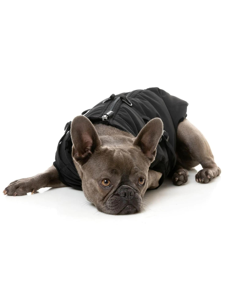 Flash Harness Jacket in Black (FINAL SALE) Wear FUZZYARD