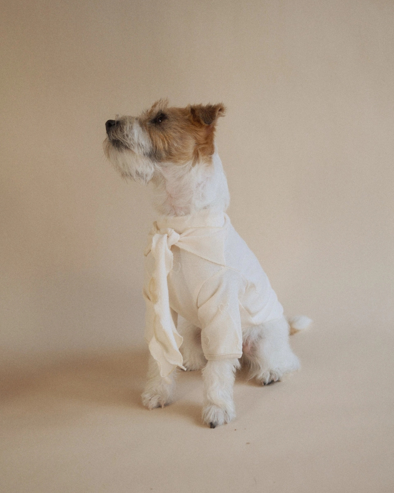 Beatrice Lady Bow Long-Sleeve Dog Shirt Wear LIL.CO