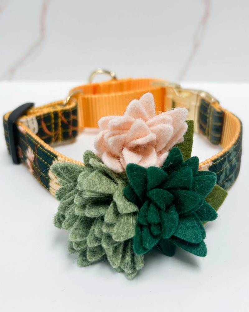 Agave Succulent Dog Collar Flower (Made in the USA) Wear MIMI GREEN   