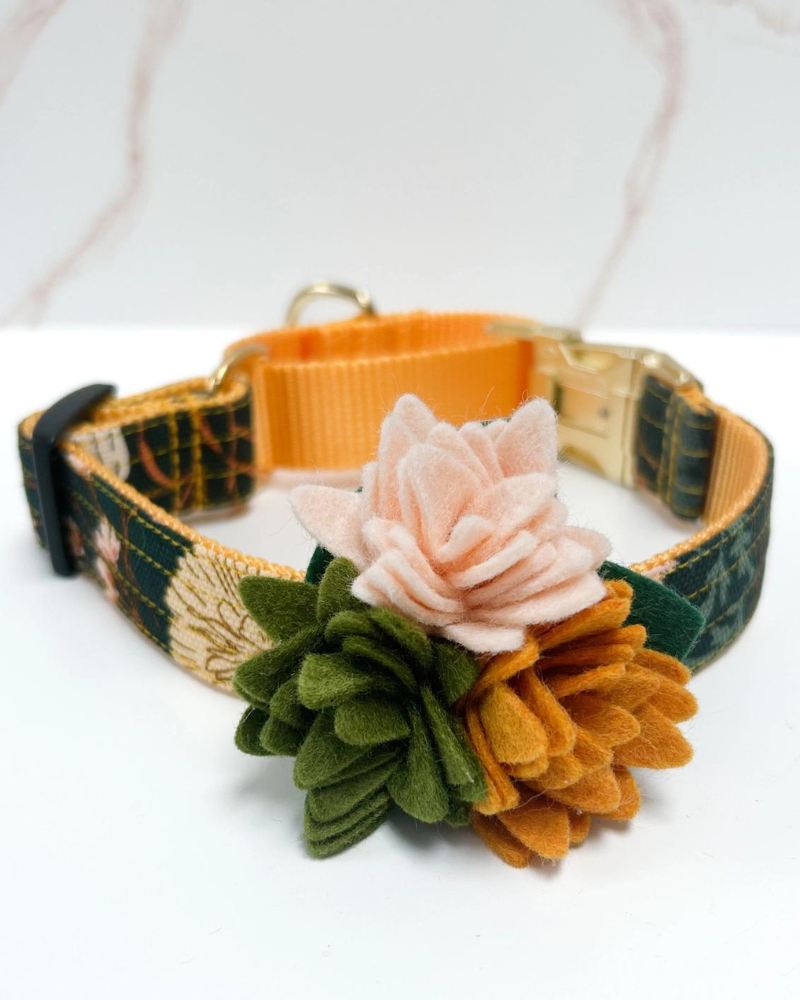 Agave Succulent Dog Collar Flower (Made in the USA) Wear MIMI GREEN   