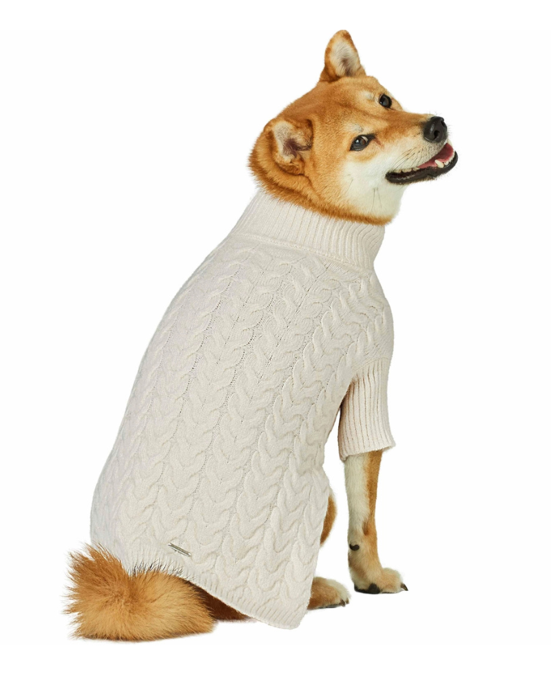 Fuzzy Knit Dog Turtleneck Sweater in Ivory Wear BLUEBERRY PET