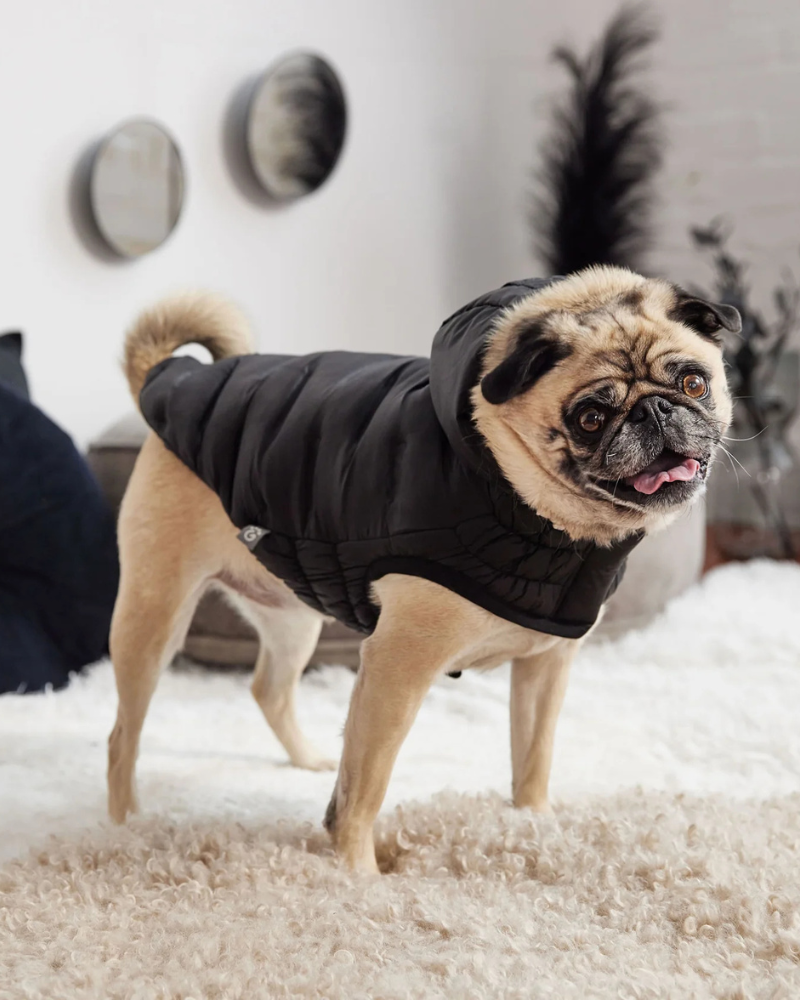 Cloud Puffer Parka for Dogs in Black Wear GF PET