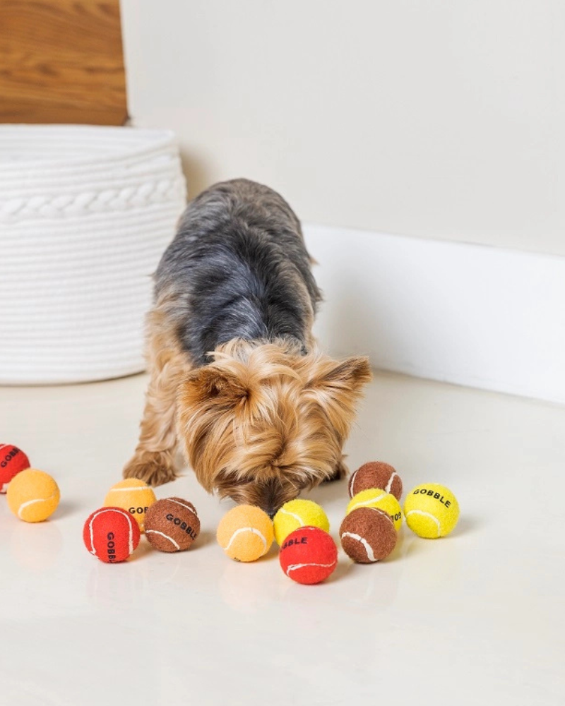 Gobble Gobble Mini Tennis Balls for Small Dogs Play MIDLEE   