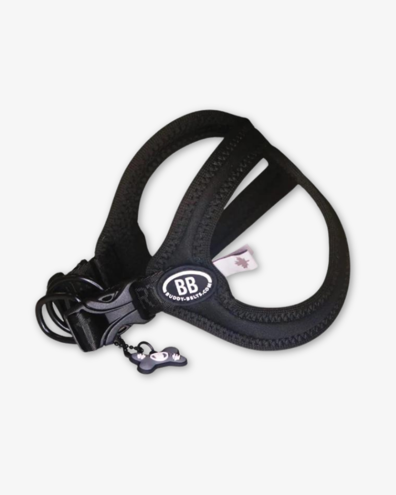 Buddy Belt Sport Harness for Dogs in Black walk BUDDY BELTS   