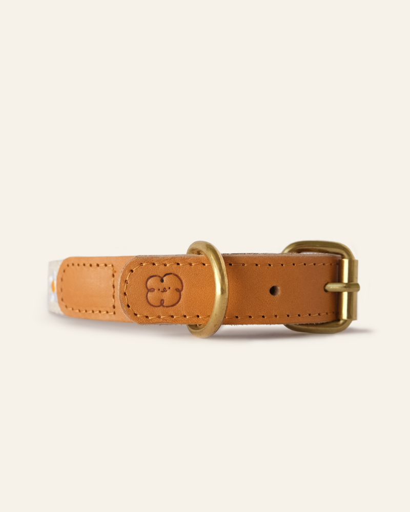 Cotton + Leather Daisy Dog Collar Walk THE SOM STUDIO   