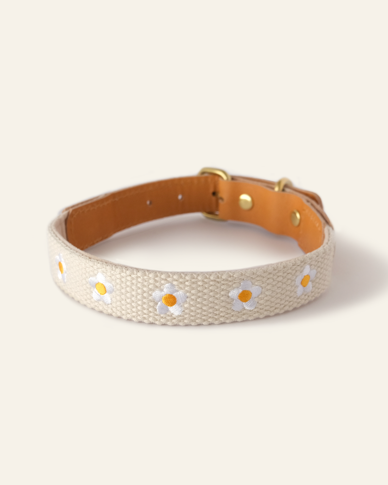 Cotton + Leather Daisy Dog Collar Walk THE SOM STUDIO   