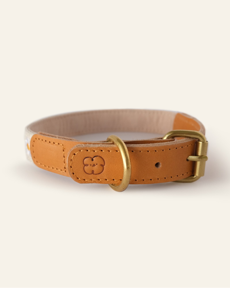 Cotton + Leather Daisy Dog Collar Walk THE SOM STUDIO   