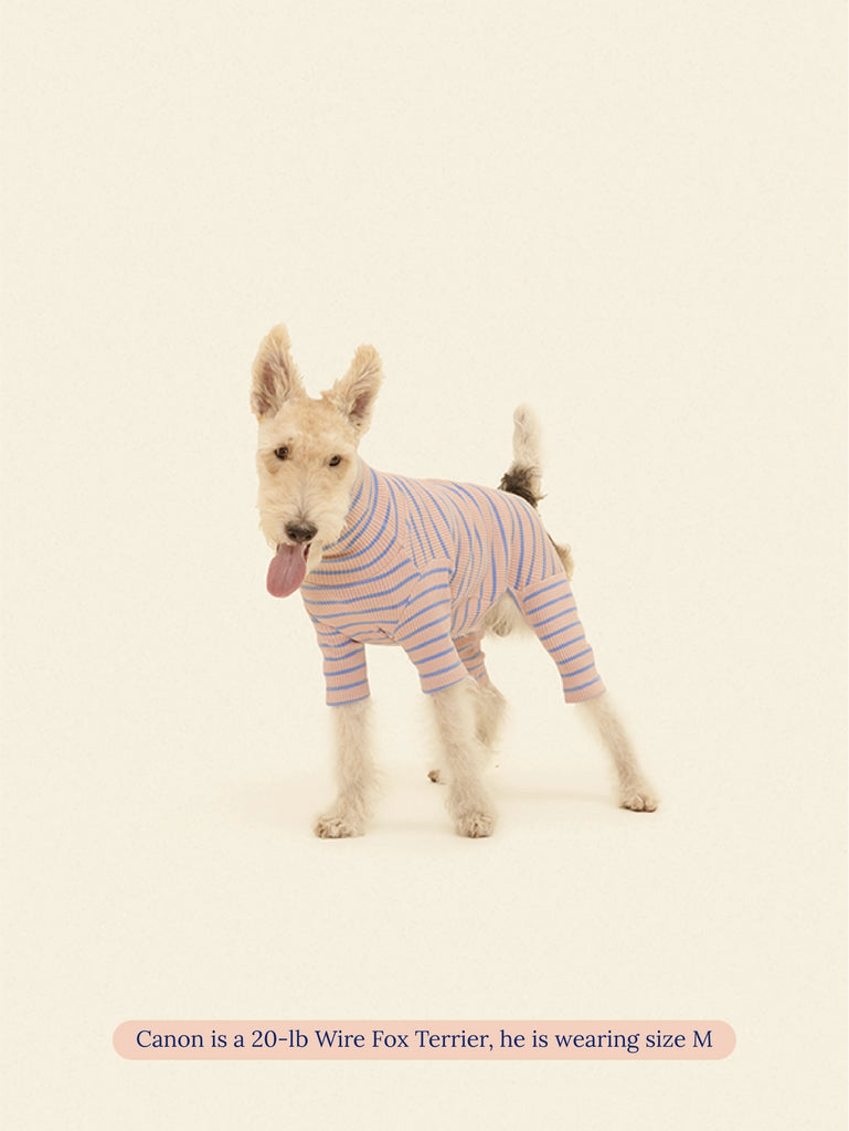 Catch Me Outside Dog Onesie (FINAL SALE) Wear LITTLE BEAST