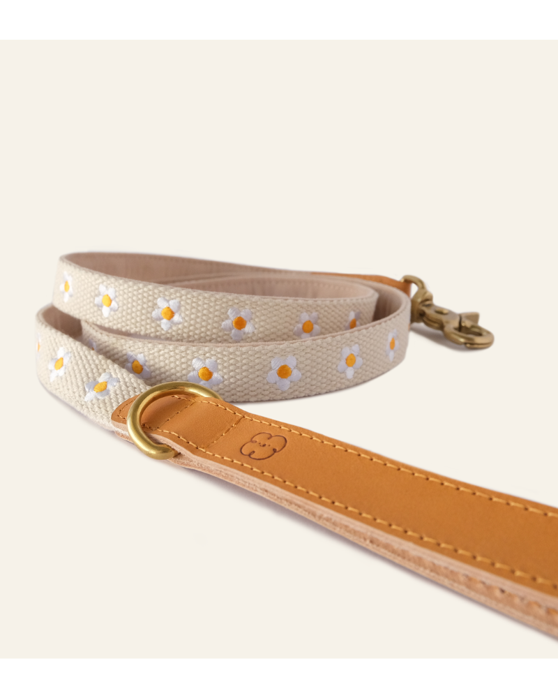 Cotton + Leather Daisy Dog Leash Walk THE SOM STUDIO   