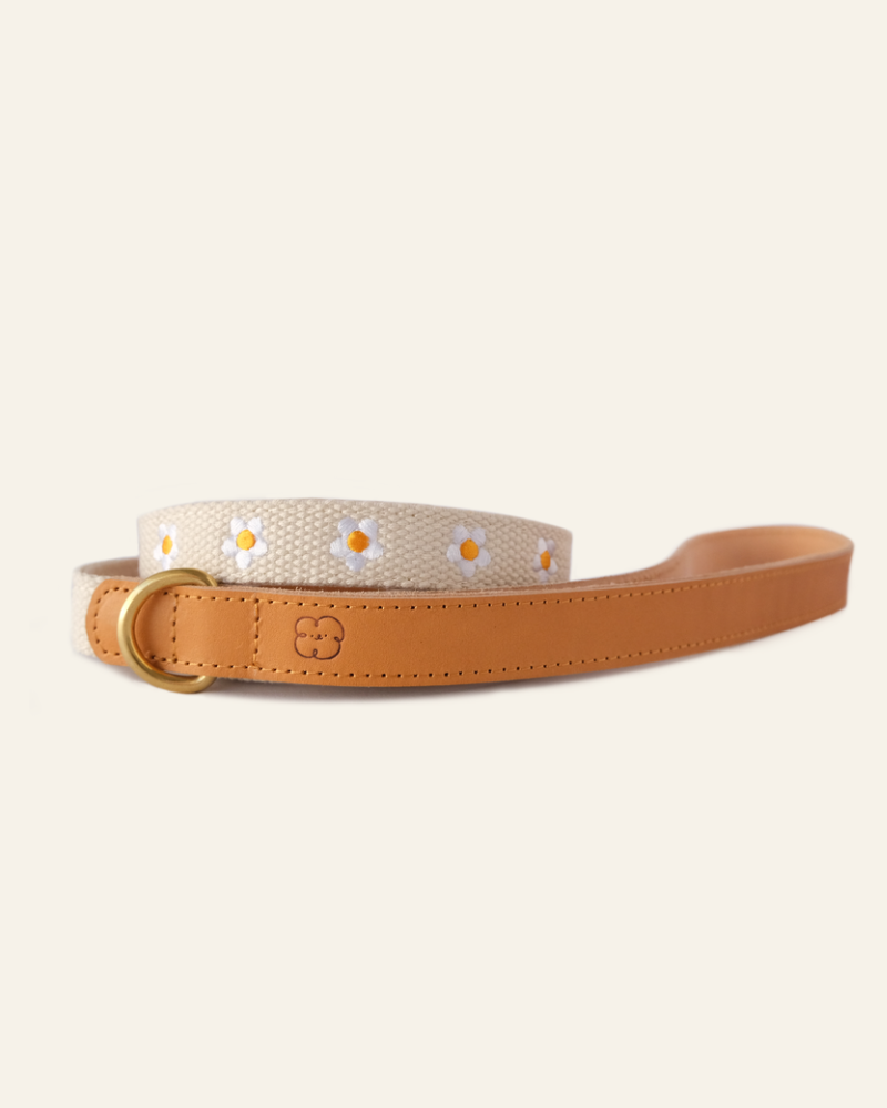 Cotton + Leather Daisy Dog Leash Walk THE SOM STUDIO   