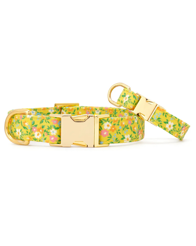 Sunny Meadow Spring Dog Collar (Made in the USA) WALK THE FOGGY DOG