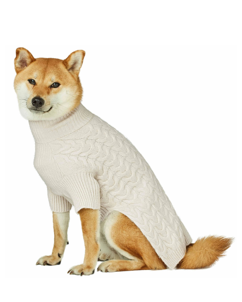 Fuzzy Knit Dog Turtleneck Sweater in Ivory Wear BLUEBERRY PET